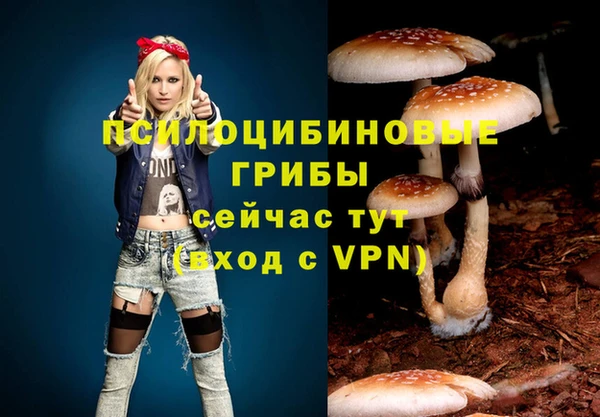 твердый Беломорск