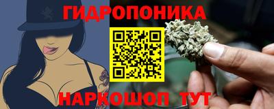 Альфа ПВП Азнакаево