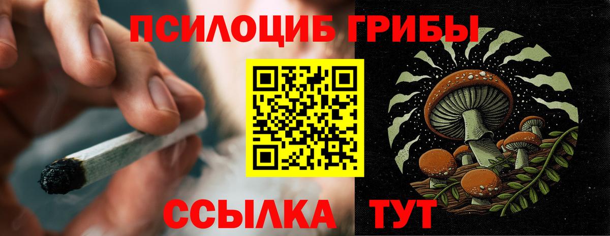 Обь  Галлюциногенные грибы мухоморы  Галлюциногенные грибы Psilocybine cubensis  Вход с VPN 