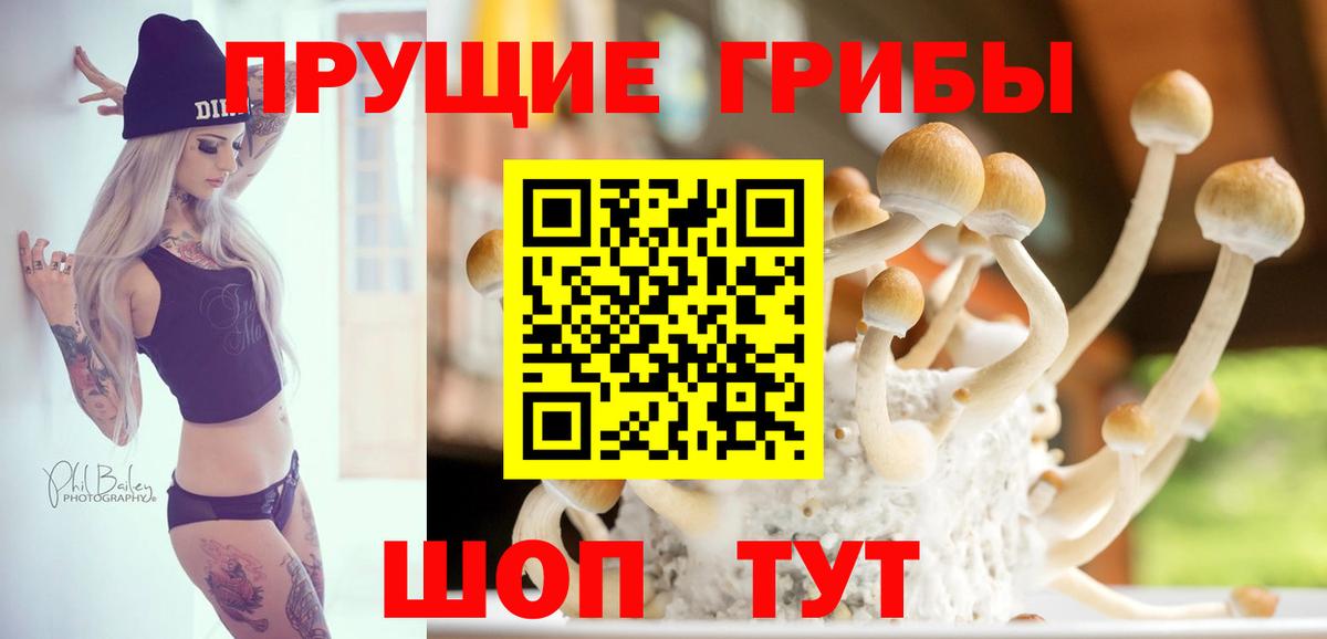 Псилоцибиновые грибы мухоморы Обь