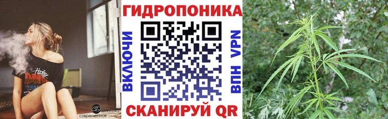 Шишки марихуана Ganja Обь